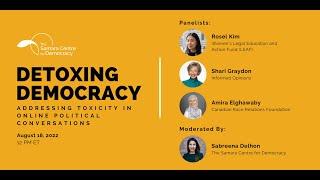 Detoxing Democracy: Addressing Toxicity in Online Political Conversations