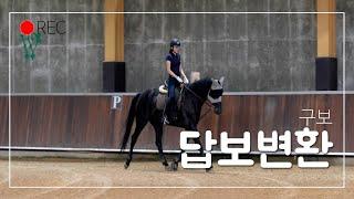 [승마] 답보변환 | 플라잉체인지 | 구보 | DK Horse | 기승일기 | 이강진 코치 | W홀스랜드 | 마장마술 | Horse Riding | Vlog