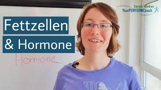 Aus diesem Grund fällt manchen das Abnehmen so schwer! | Hormonanalyse | Sarah Kleber