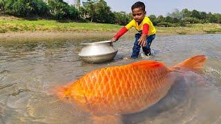 Amazing Big Fish Catching By Hand | Traditional Big Fish Catch By Hand in River Mud Water 2023