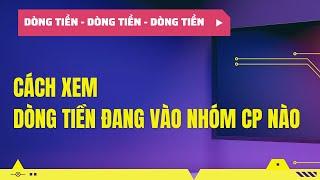 Làm sao biết dòng tiền trên thị trường đổ vào nhóm ngành nào? Cách xem dòng tiền trên thị trường.