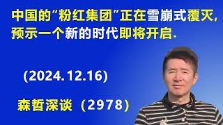 中国的“粉红集团”正在 雪崩式覆灭：预示一个“新的时代”即将开启. (2024.12.16) 《森哲深谈》