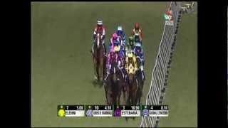 Urania Belle | Morphettville Parks |  06-June-2012