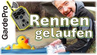 Kooperation ins Wasser gefallen?  Gemeinsames Wildkamera-Review zur GardePro A80 | Entenrennen