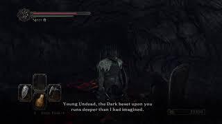 Smoke, ash and soot creatures (Dark Souls 2 Sir Knight)