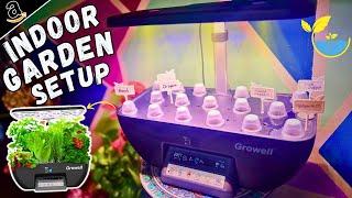 Hydroponics Growing System Kit Indoor Garden - Setup/Review