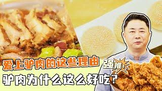 《回家吃饭》酱驴肉 红扒驴肉 空心烧饼 爱上驴肉的这些理由 驴肉为什么这么好吃？20231123 | 美食中国 Tasty China