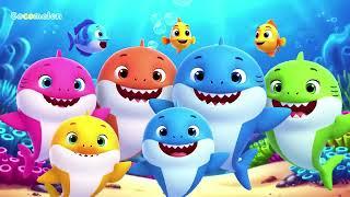 Baby Shark Dance  | Kids Songs & Nursery Rhymes | Bright Minds Learning