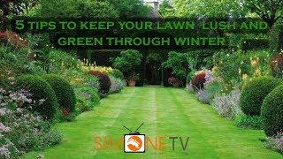 5 tips to keep your lawn  lush and green through winter | Simone Tv: Episode 104