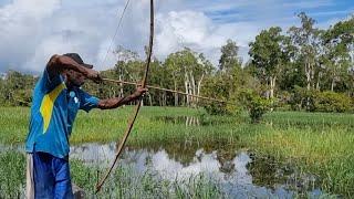 Traditional fishing uses arrows