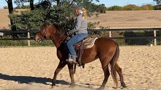 Fixing a HARD Mouthed Horse