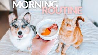 Morning Routine For My Raw Fed Pets