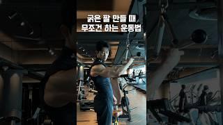 굵은 팔 만들 때 반드시 하는 운동