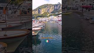 A treasure in Sorrento - Capri Island. #trending #shorts #travel