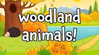 Woodland Creatures! Learning Names of Woodland Animals