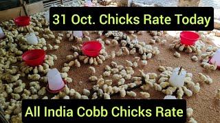 31 Oct. Chicks Rate Today