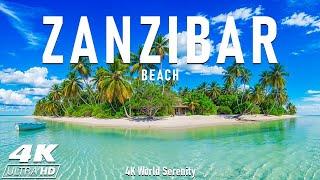 Zanzibar in 4K ULTRA HD - Tropical Paradise in Africa | Scenic Relaxation Film With Calming Music