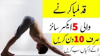 5 Easy Home Exercise For Increase Your Height | How To Increase Height After 18