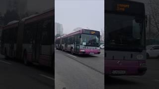 Autobuzul Irisbus Agora L #579 pe linia TE-4F (Transport Elevi Floresti) @David_.trollino303