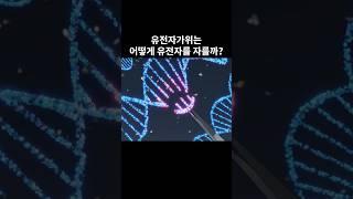 유전자가위는 어떻게 유전자를 자를까?