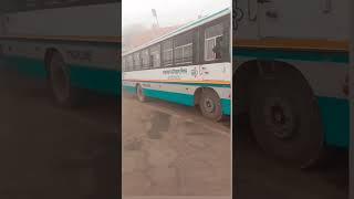 Rajasthan Roadways || Rsrtc Bus || #rajasthan #youtubeshorts #youtube #shorts