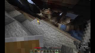 NEW SERVER  BEATING ENDER DRAGON  CRAZY STREAM  JOIN THE STREAM 