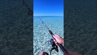 Fishing in paradise. Grayton Beach State Park.