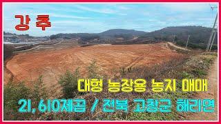 고창 대형 농장용 농지 매매 / 21,610제곱 / 전북 고창군 해리면 / 고창부동산 / 강산부동산 / 고창토지 / 전북토지 / 대형토지 / 고창농지원부