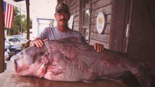 Missouri Record Fish Stories - Blue Catfish