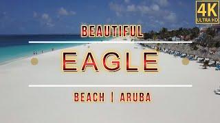 Eagle Beach in Aruba  | Aruba   Travel | Eagle Beach Walking Tour | Eagle Beach | Beach Walk |4K