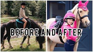 Harlow Before and after she got famous!!??#short #horses #viral ￼