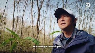 Chasing Biodiversity: Hainan | Discovery Channel Southeast Asia