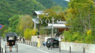 Kyoto vlog] A summer trip to Arashiyama to enjoy nature and cafes