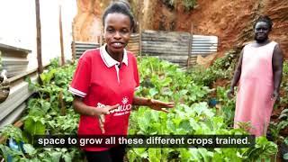 Vlog: A Follow-up Visit To Beneficiaries Under The Home Grown Gardens Training