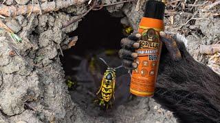 Gorilla glue spray adhesive vs ground wasp nest, wasp glue trap