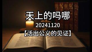 【活出公义的见证】【灵修】 天上的吗哪    20241120 #圣经学习 #基督教 #