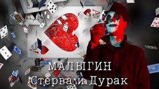 МАЛЫГИН - Стерва и Дурак | Клип на iPhone