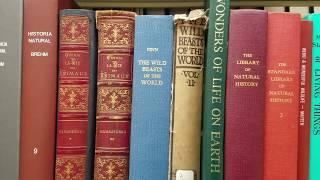 Biologist reviews 1800's animal encyclopedias