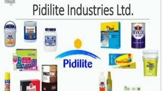 Pidilite Industries Ltd | fevicol | Dr.fixit | Mseal | feviquik | frvistick