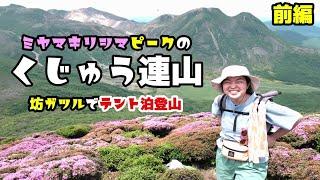 【くじゅう連山縦走】憧れの坊ガツルでテント泊登山してミヤマキリシマ満開を堪能【前編】