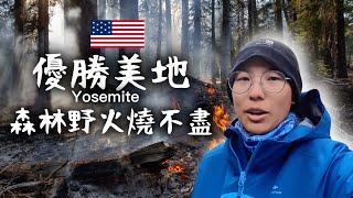 優勝美地 森林野火燒不盡？！世界最大樹 ｜ 酋長岩超壯觀 ｜美國加州旅行