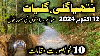 Murree live today | #nathiagali  hotels room rent | #nathiagali weather | nathia Gali latest update