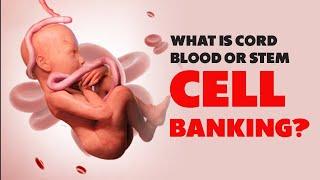 What is Cord blood or Stem Cell banking? Is it really necessary for your baby? | Dr. Sunil Kumar G S