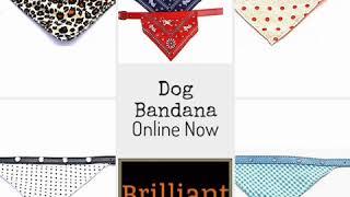 Dog Bandana