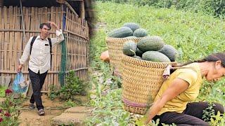 Watermelon harvest pellets. Tam returned after a period of work. Will Vien and Tam meet each other?