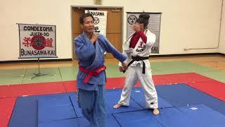 Judo Master:  Spinning Seoi-Nage