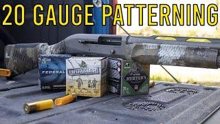 20 Gauge Pattern Test | HOW EFFECTIVE IS IT??