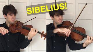 Violin vs. Viola Playing the Same Pieces