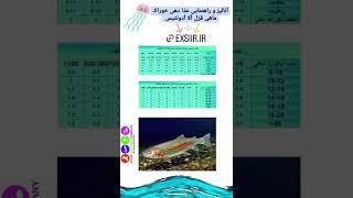 خوراک ماهی قزل آلا آدونتیس