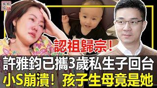 認祖歸宗！許雅鈞已帶3歲私生子回台，孩子生母身份曝光竟然是她，小s再也忍不下去了！【娛情娛理】#許雅鈞#小s